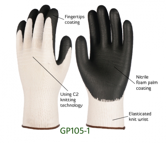 GP105 Icare