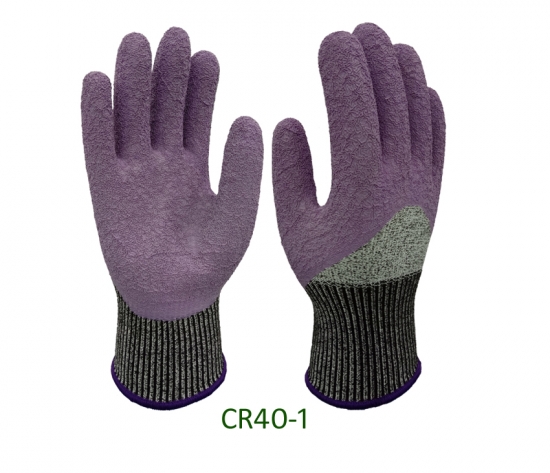 CR40 GUGI 2