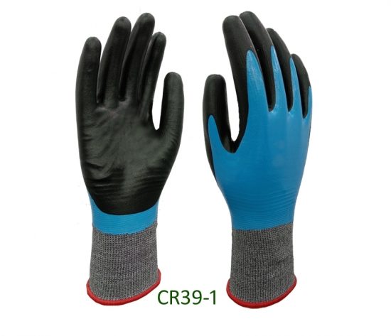 CR39 WG2