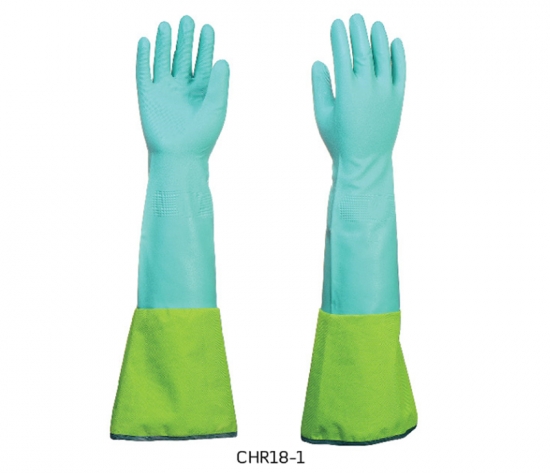 CHR18 Professional 2