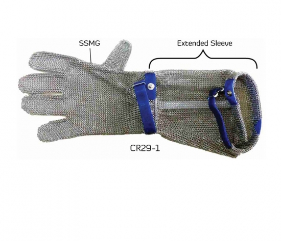 CR29 DPPE - SSMG