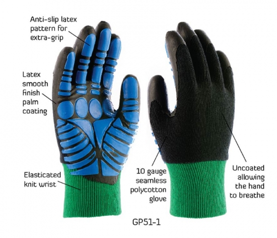 GP51 Campelo 3