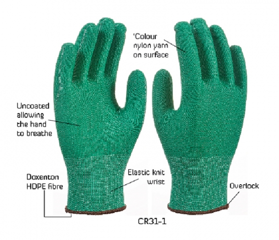 CR31 Polar King 2