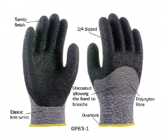 GP63 Campelo 4