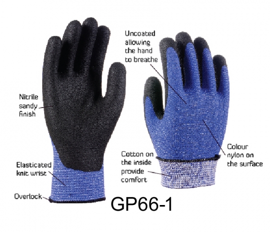 GP66 Octopus 6